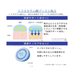 TRANSINO [Quasi-drug] Medicated Melanosignal Essence 30g - Imagem 2